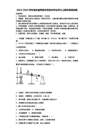 2023-2024学年湖北省枣阳市实验中学化学九上期中预测试题含解析.doc