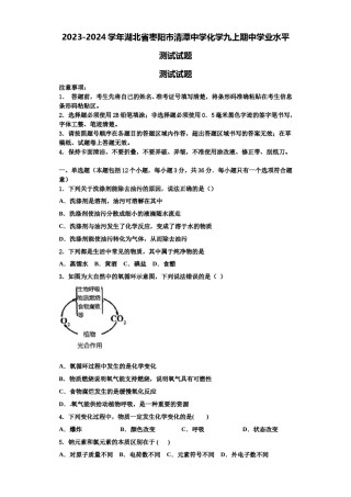 2023-2024学年湖北省枣阳市清潭中学化学九上期中学业水平测试试题含解析.doc