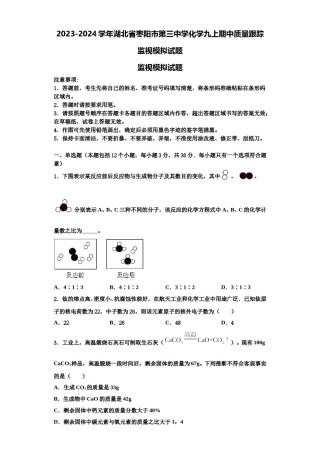 2023-2024学年湖北省枣阳市第三中学化学九上期中质量跟踪监视模拟试题含解析.doc