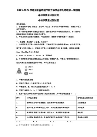 2023-2024学年湖北省枣阳市第三中学化学九年级第一学期期中教学质量检测试题含解析.doc