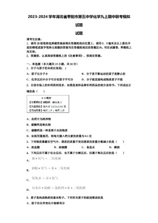 2023-2024学年湖北省枣阳市第五中学化学九上期中联考模拟试题含解析.doc