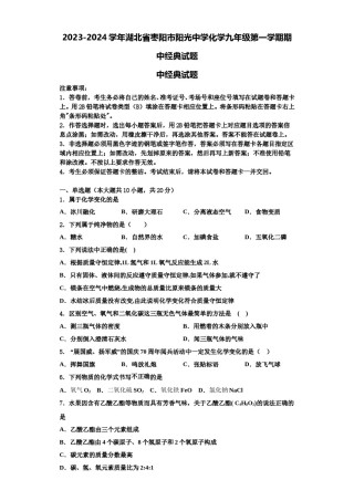 2023-2024学年湖北省枣阳市阳光中学化学九年级第一学期期中经典试题含解析.doc