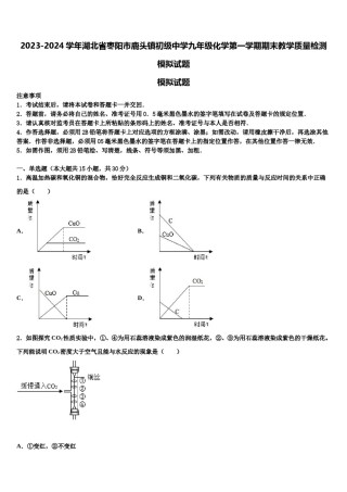 2023-2024学年湖北省枣阳市鹿头镇初级中学九年级化学第一学期期末教学质量检测模拟试题含解析.doc