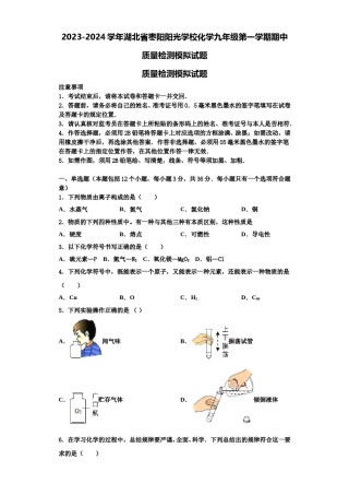 2023-2024学年湖北省枣阳阳光学校化学九年级第一学期期中质量检测模拟试题含解析.doc