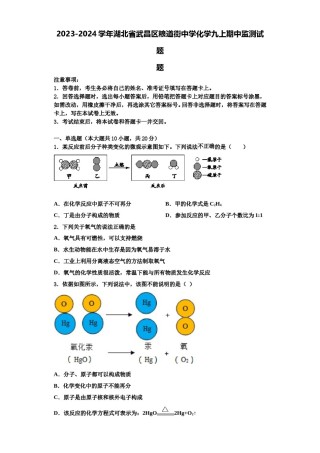 2023-2024学年湖北省武昌区粮道街中学化学九上期中监测试题含解析.doc