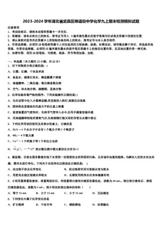 2023-2024学年湖北省武昌区粮道街中学化学九上期末检测模拟试题含解析.doc