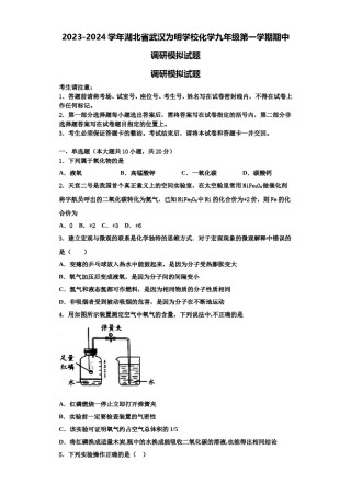 2023-2024学年湖北省武汉为明学校化学九年级第一学期期中调研模拟试题含解析.doc