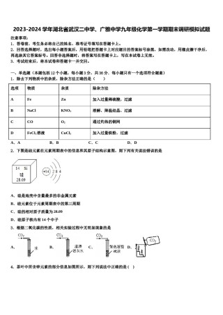 2023-2024学年湖北省武汉二中学、广雅中学九年级化学第一学期期末调研模拟试题含解析.doc