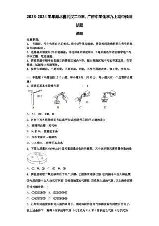 2023-2024学年湖北省武汉二中学、广雅中学化学九上期中预测试题含解析.doc