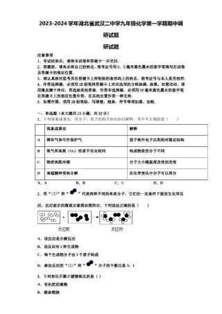 2023-2024学年湖北省武汉二中学九年级化学第一学期期中调研试题含解析.doc