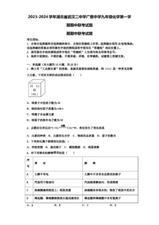 2023-2024学年湖北省武汉二中学广雅中学九年级化学第一学期期中联考试题含解析.doc