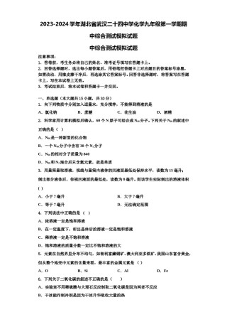 2023-2024学年湖北省武汉二十四中学化学九年级第一学期期中综合测试模拟试题含解析.doc