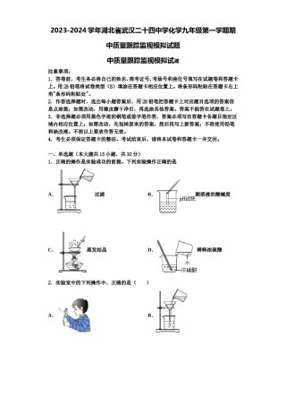 2023-2024学年湖北省武汉二十四中学化学九年级第一学期期中质量跟踪监视模拟试题含解析.doc
