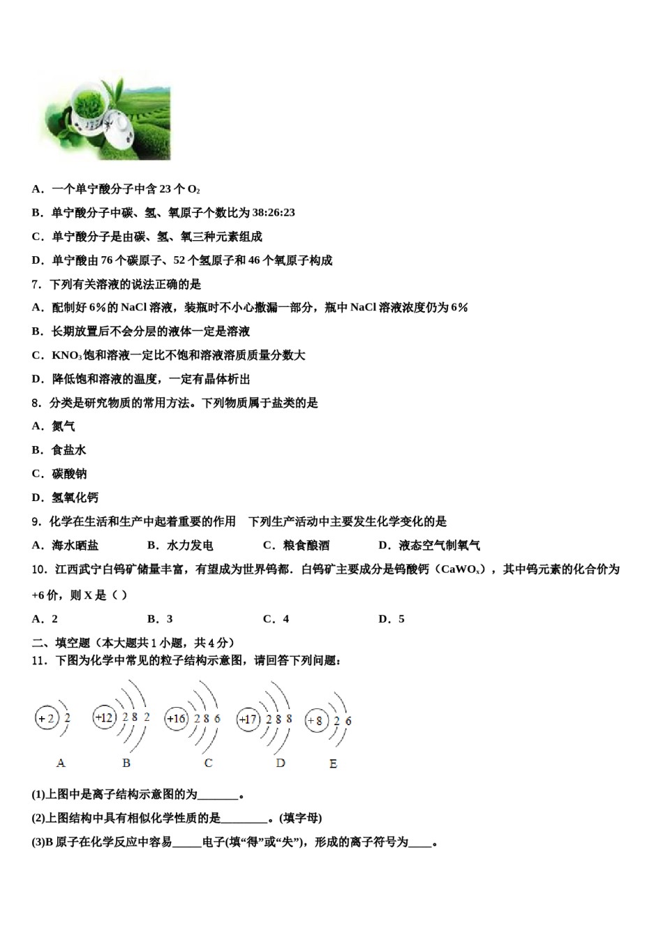 2023-2024学年湖北省武汉二十四中学化学九年级第一学期期末质量检测模拟试题含解析.doc_第2页