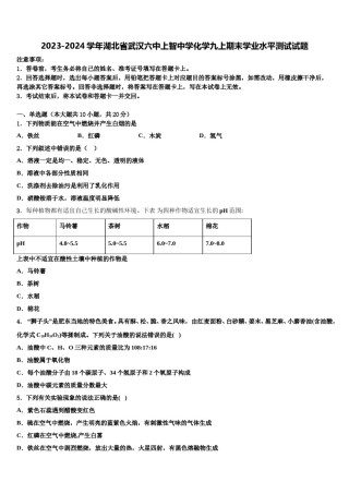 2023-2024学年湖北省武汉六中上智中学化学九上期末学业水平测试试题含解析.doc