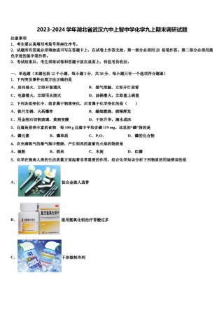 2023-2024学年湖北省武汉六中上智中学化学九上期末调研试题含解析.doc