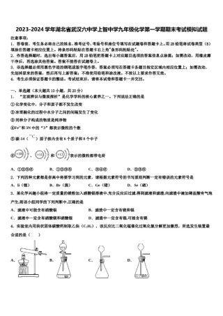 2023-2024学年湖北省武汉六中学上智中学九年级化学第一学期期末考试模拟试题含解析.doc