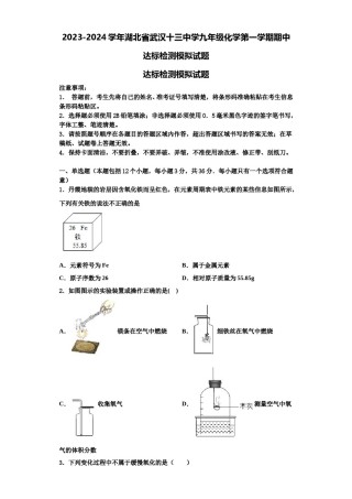 2023-2024学年湖北省武汉十三中学九年级化学第一学期期中达标检测模拟试题含解析.doc
