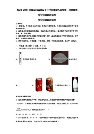 2023-2024学年湖北省武汉十三中学化学九年级第一学期期中学业质量监测试题含解析.doc