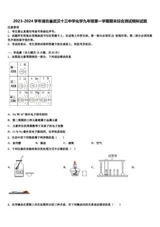 2023-2024学年湖北省武汉十三中学化学九年级第一学期期末综合测试模拟试题含解析.doc