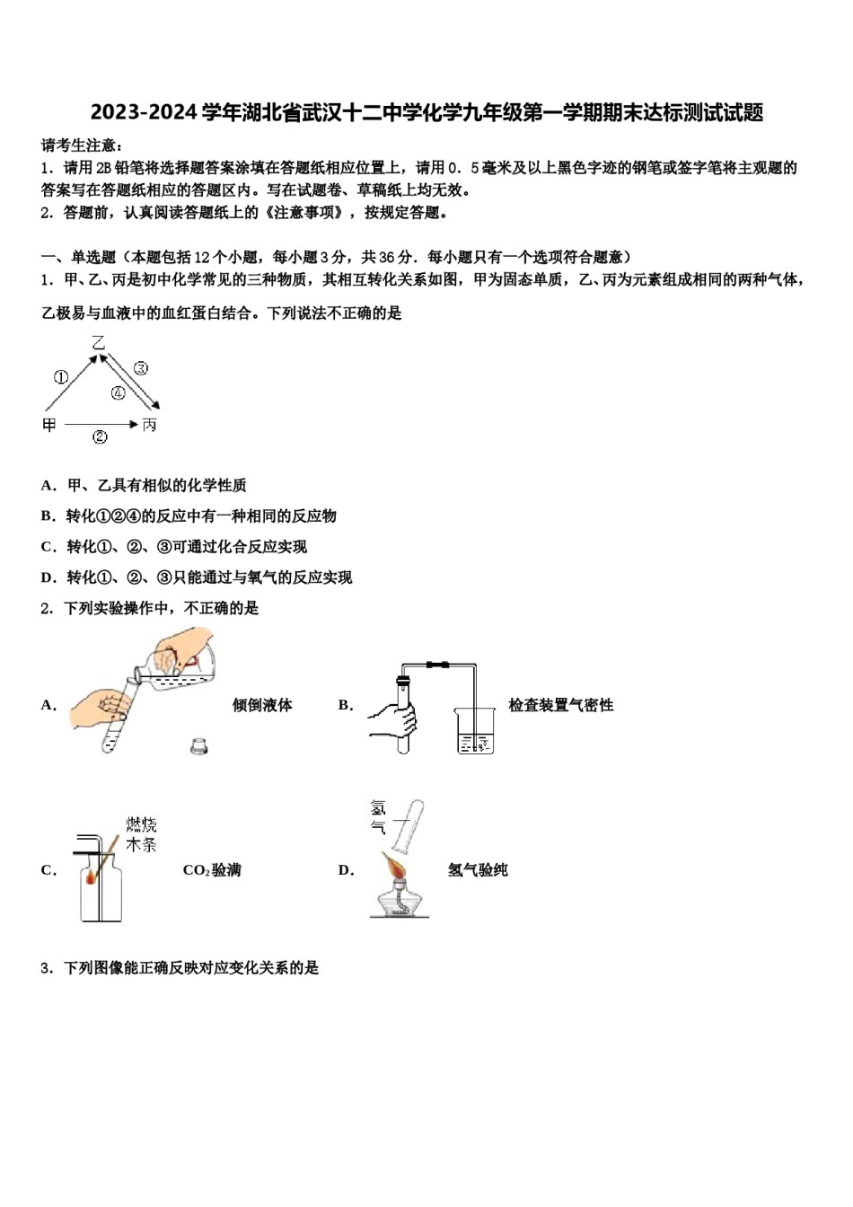 2023-2024学年湖北省武汉十二中学化学九年级第一学期期末达标测试试题含解析.doc_第1页