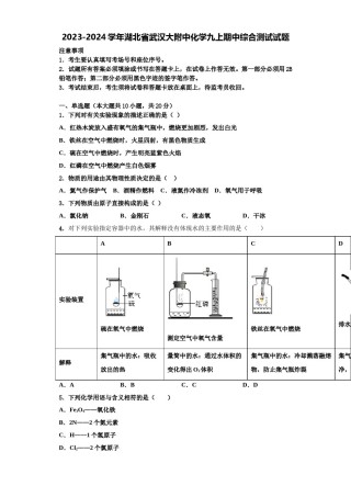 2023-2024学年湖北省武汉大附中化学九上期中综合测试试题含解析.doc
