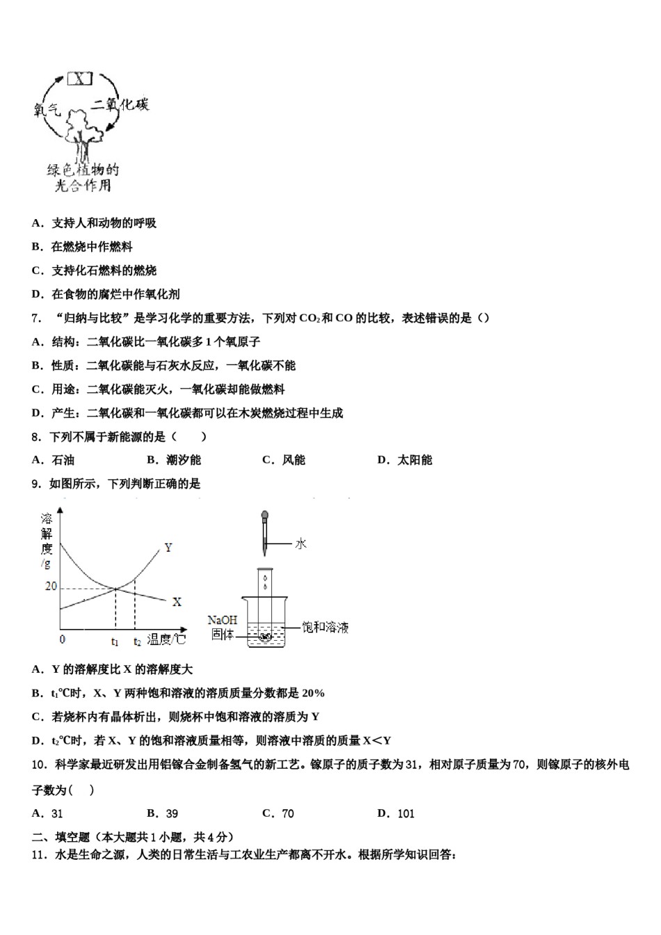 2023-2024学年湖北省武汉大附中化学九年级第一学期期末统考模拟试题含解析.doc_第2页