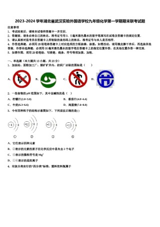 2023-2024学年湖北省武汉实验外国语学校九年级化学第一学期期末联考试题含解析.doc