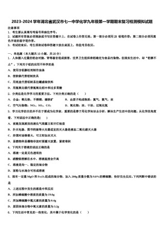 2023-2024学年湖北省武汉市七一中学化学九年级第一学期期末复习检测模拟试题含解析.doc