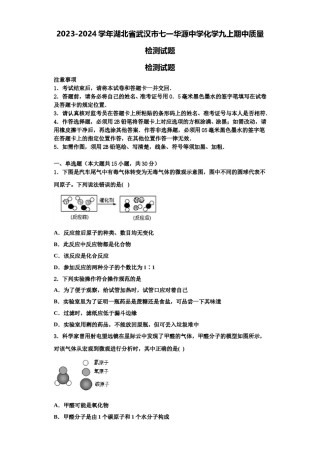 2023-2024学年湖北省武汉市七一华源中学化学九上期中质量检测试题含解析.doc