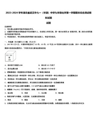 2023-2024学年湖北省武汉市七一（华源）中学九年级化学第一学期期末综合测试模拟试题含解析.doc