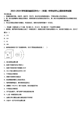 2023-2024学年湖北省武汉市七一（华源）中学化学九上期末统考试题含解析.doc