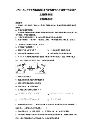 2023-2024学年湖北省武汉市两学校化学九年级第一学期期中监测模拟试题含解析.doc