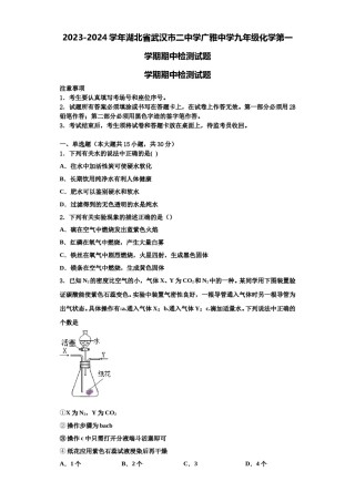 2023-2024学年湖北省武汉市二中学广雅中学九年级化学第一学期期中检测试题含解析.doc