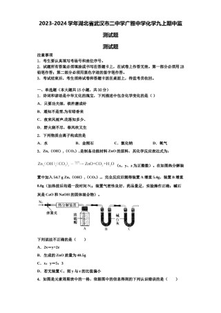 2023-2024学年湖北省武汉市二中学广雅中学化学九上期中监测试题含解析.doc