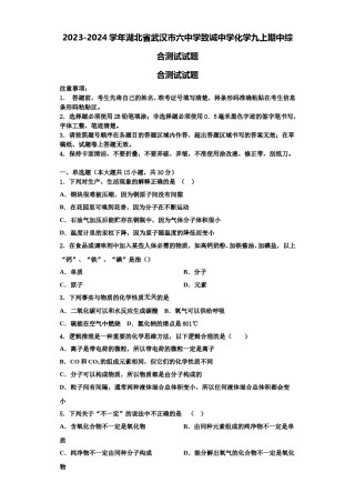 2023-2024学年湖北省武汉市六中学致诚中学化学九上期中综合测试试题含解析.doc