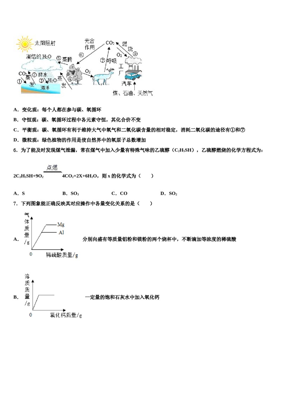 2023-2024学年湖北省武汉市六中学致诚中学化学九年级第一学期期末质量跟踪监视试题含解析.doc_第2页