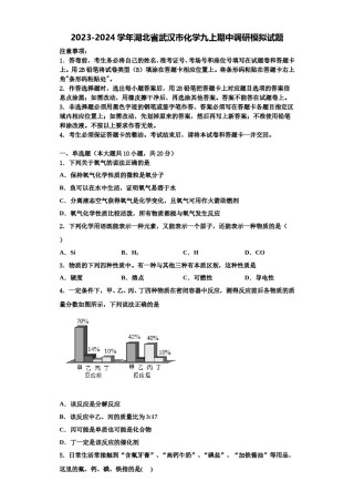 2023-2024学年湖北省武汉市化学九上期中调研模拟试题含解析.doc