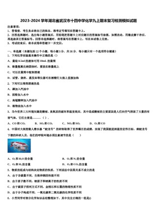2023-2024学年湖北省武汉市十四中学化学九上期末复习检测模拟试题含解析.doc