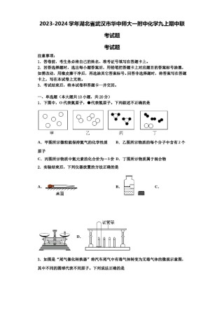 2023-2024学年湖北省武汉市华中师大一附中化学九上期中联考试题含解析.doc