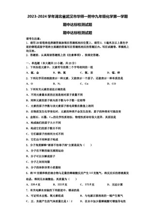 2023-2024学年湖北省武汉市华师一附中九年级化学第一学期期中达标检测试题含解析.doc