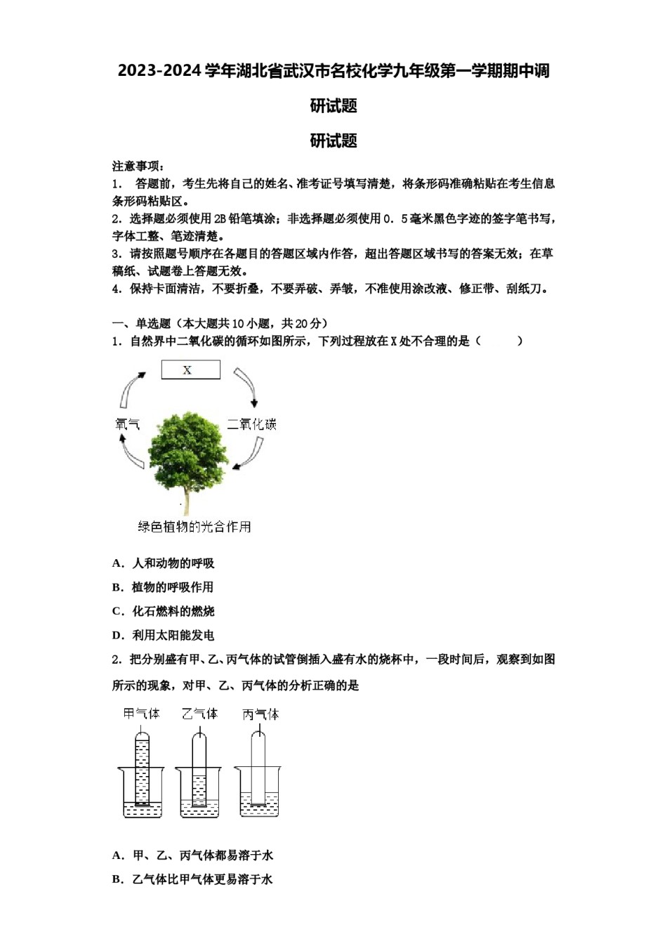 2023-2024学年湖北省武汉市名校化学九年级第一学期期中调研试题含解析.doc_第1页