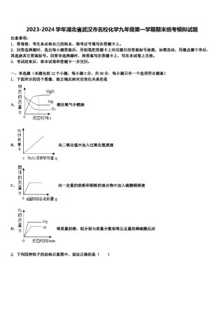 2023-2024学年湖北省武汉市名校化学九年级第一学期期末统考模拟试题含解析.doc