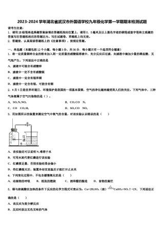 2023-2024学年湖北省武汉市外国语学校九年级化学第一学期期末检测试题含解析.doc