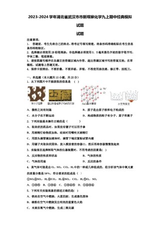 2023-2024学年湖北省武汉市市新观察化学九上期中经典模拟试题含解析.doc