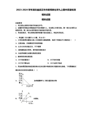 2023-2024学年湖北省武汉市市新观察化学九上期中质量检测模拟试题含解析.doc