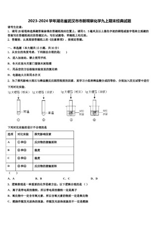 2023-2024学年湖北省武汉市市新观察化学九上期末经典试题含解析.doc