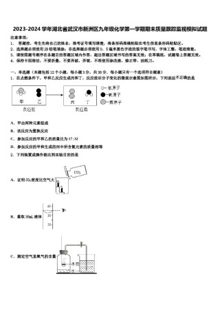 2023-2024学年湖北省武汉市新洲区九年级化学第一学期期末质量跟踪监视模拟试题含解析.doc
