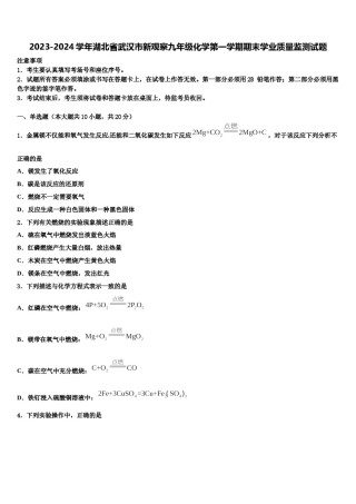 2023-2024学年湖北省武汉市新观察九年级化学第一学期期末学业质量监测试题含解析.doc