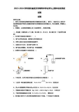 2023-2024学年湖北省武汉市梅苑中学化学九上期中达标测试试题含解析.doc